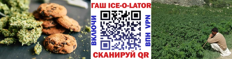 Cannafood конопля  купить закладку  Ногинск 