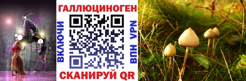 Галлюциногенные грибы мицелий Ногинск