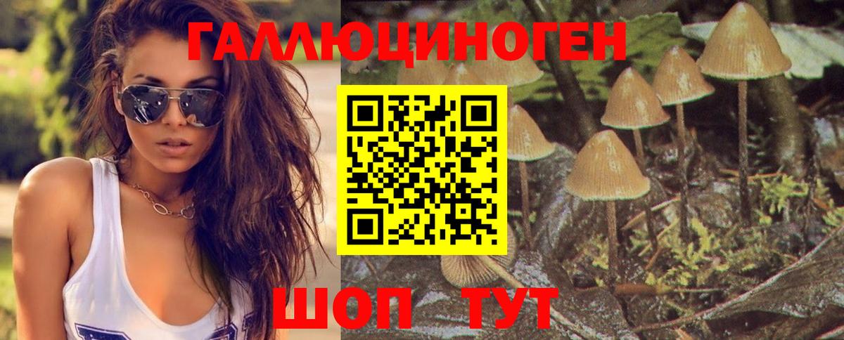 Псилоцибиновые грибы Magic Shrooms Ногинск