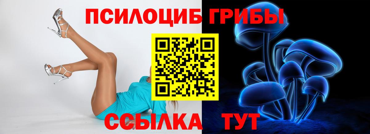 Галлюциногенные грибы ЛСД  купить наркотики сайты  Галлюциногенные грибы ЛСД  Ногинск  Вход с VPN 